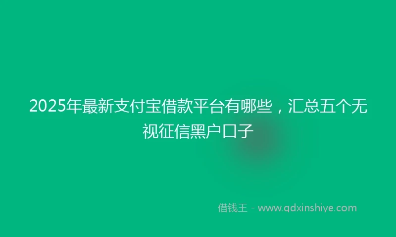 2025年最新支付宝借款平台有哪些，汇总五个无视征信黑户口子