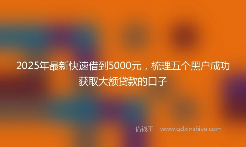 2025年最新快速借到5000元，梳理五个黑户成功获取大额贷款的口子