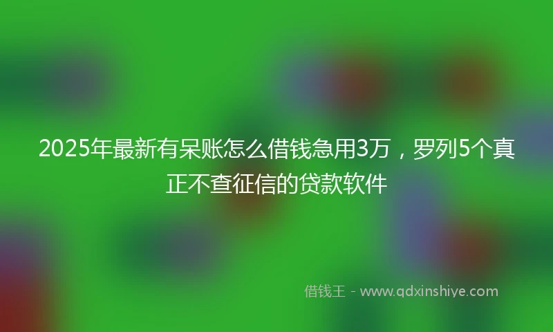 2025年最新有呆账怎么借钱急用3万，罗列5个真正不查征信的贷款软件