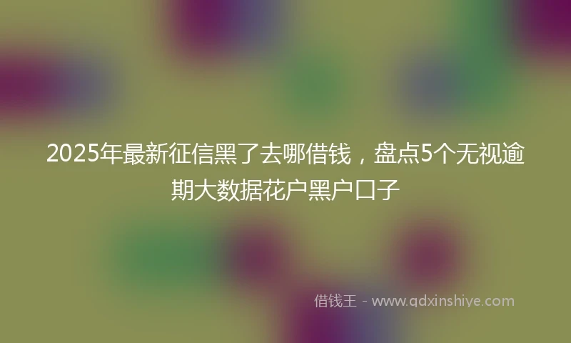 2025年最新征信黑了去哪借钱，盘点5个无视逾期大数据花户黑户口子