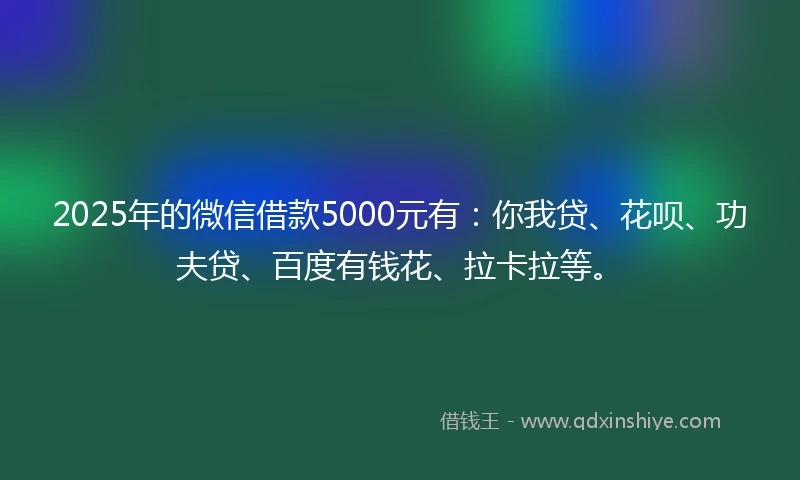 2025年的微信借款5000元有：你我贷、花呗、功夫贷、百度有钱花、拉卡拉等。