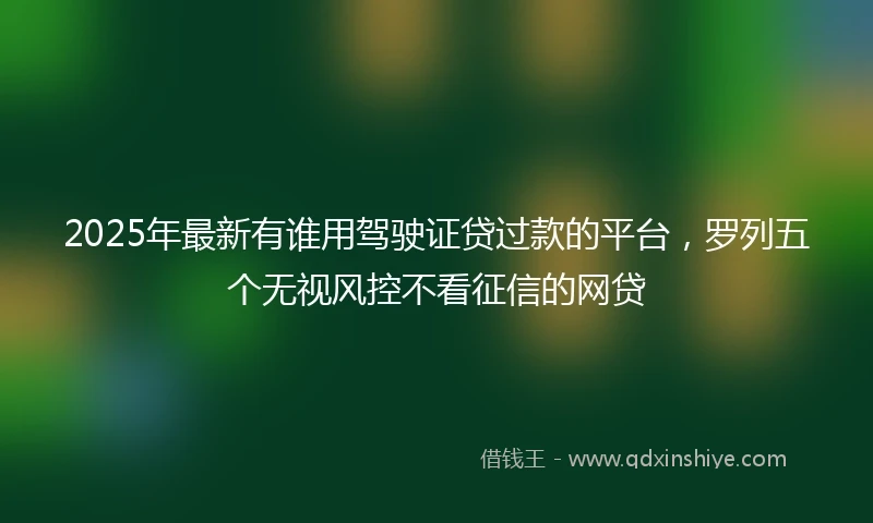 2025年最新有谁用驾驶证贷过款的平台，罗列五个无视风控不看征信的网贷