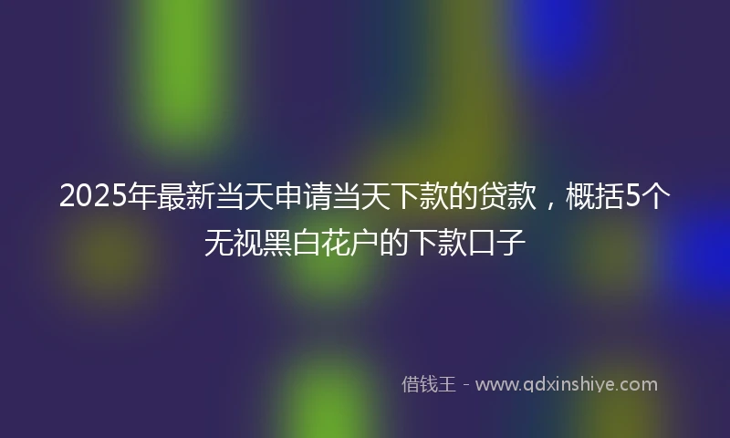 2025年最新当天申请当天下款的贷款，概括5个无视黑白花户的下款口子