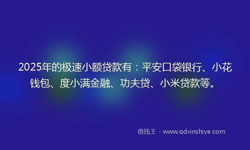 2025年的极速小额贷款有：平安口袋银行、小花钱包、度小满金融、功夫贷、小米贷款等。