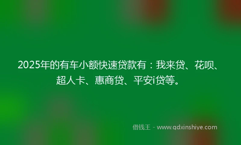 2025年的有车小额快速贷款有：我来贷、花呗、超人卡、惠商贷、平安i贷等。
