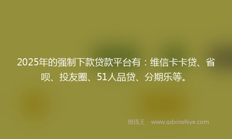 2025年的强制下款贷款平台有：维信卡卡贷、省呗、投友圈、51人品贷、分期乐等。