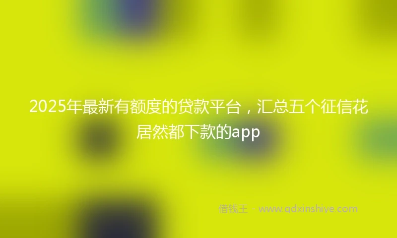 2025年最新有额度的贷款平台，汇总五个征信花居然都下款的app
