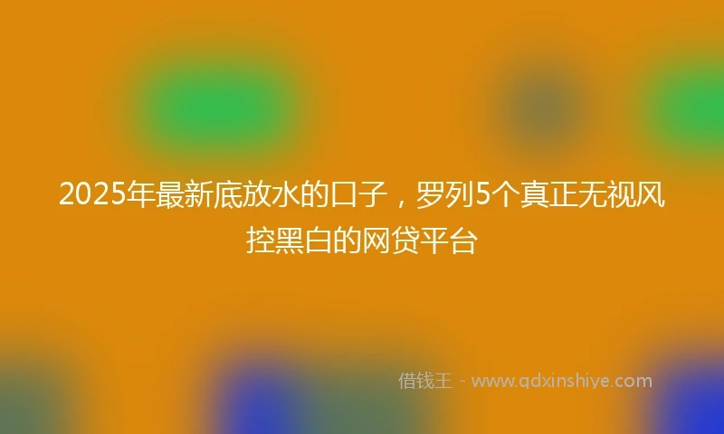 2025年最新底放水的口子，罗列5个真正无视风控黑白的网贷平台