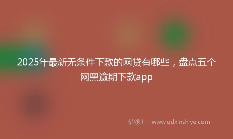 2025年最新无条件下款的网贷有哪些,盘点五个网黑逾期下款app