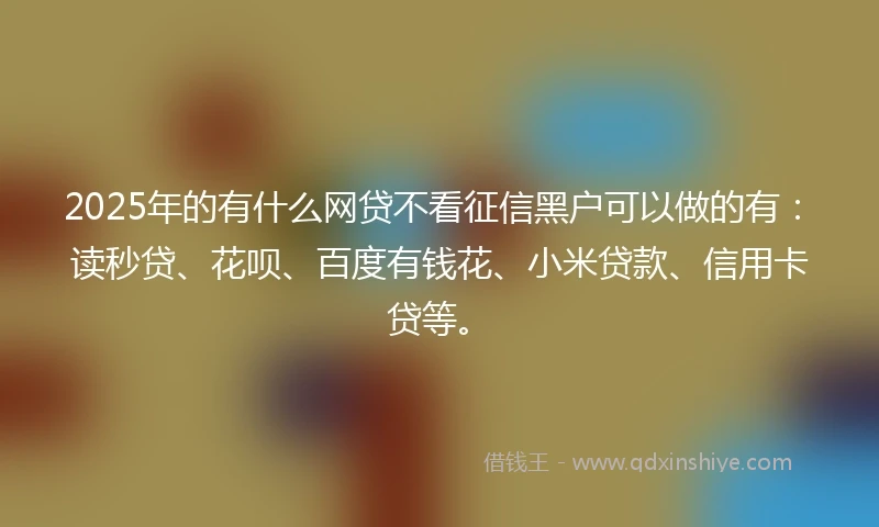 2025年的有什么网贷不看征信黑户可以做的有：读秒贷、花呗、百度有钱花、小米贷款、信用卡贷等。