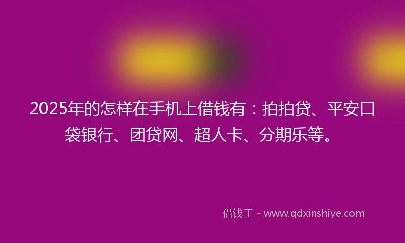 2025年的怎样在手机上借钱有：拍拍贷、平安口袋银行、团贷网、超人卡、分期乐等。