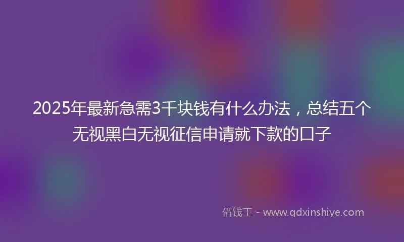 2025年最新急需3千块钱有什么办法，总结五个无视黑白无视征信申请就下款的口子