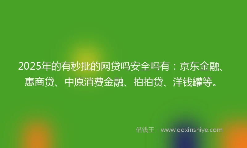 2025年的有秒批的网贷吗安全吗有：京东金融、惠商贷、中原消费金融、拍拍贷、洋钱罐等。