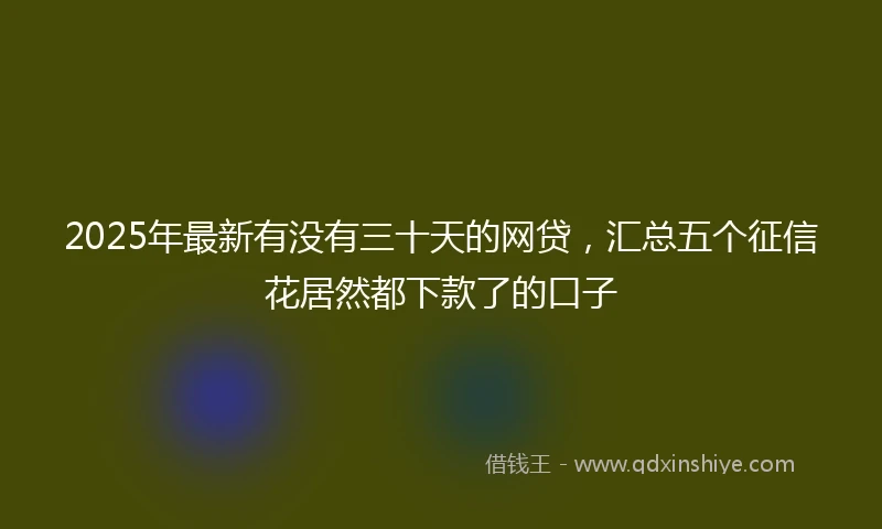 2025年最新有没有三十天的网贷，汇总五个征信花居然都下款了的口子
