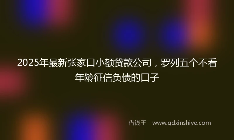 2025年最新张家口小额贷款公司，罗列五个不看年龄征信负债的口子