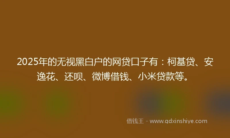 2025年的无视黑白户的网贷口子有：柯基贷、安逸花、还呗、微博借钱、小米贷款等。