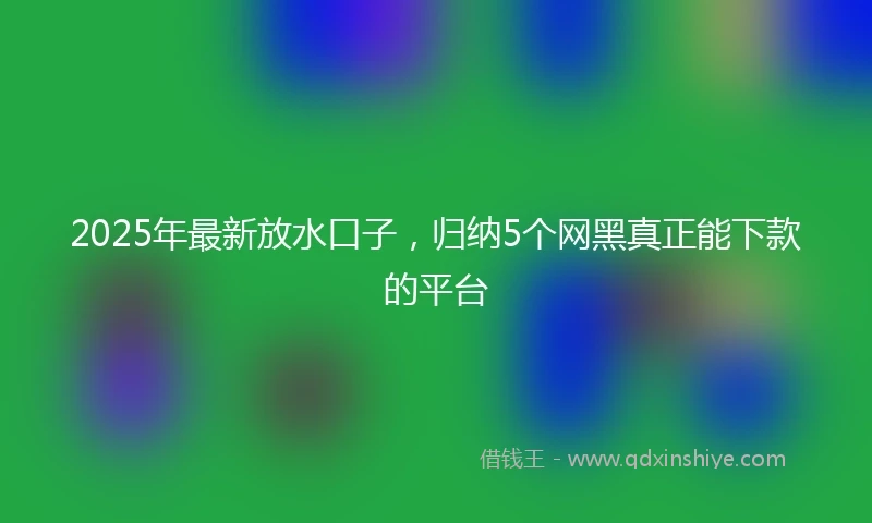 2025年最新放水口子，归纳5个网黑真正能下款的平台