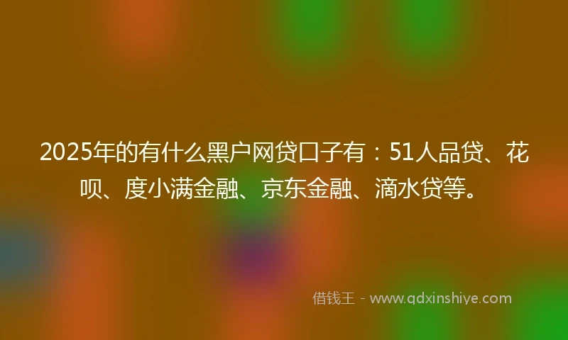 2025年的有什么黑户网贷口子有：51人品贷、花呗、度小满金融、京东金融、滴水贷等。