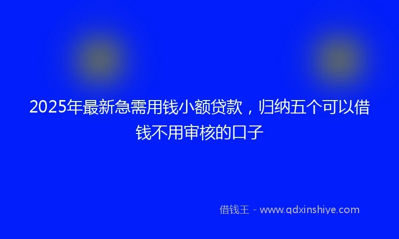 2025年最新急需用钱小额贷款，归纳五个可以借钱不用审核的口子