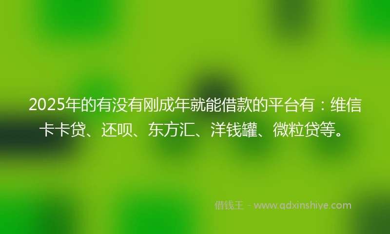 2025年的有没有刚成年就能借款的平台有：维信卡卡贷、还呗、东方汇、洋钱罐、微粒贷等。