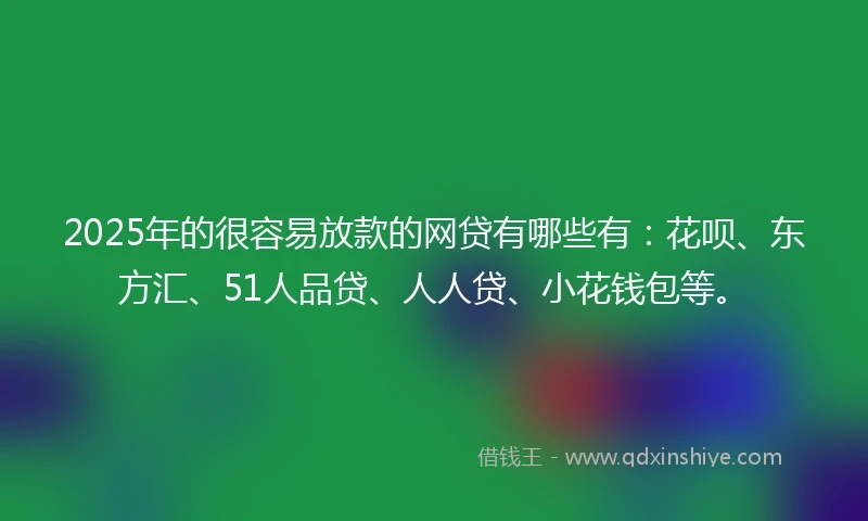 2025年的很容易放款的网贷有哪些有：花呗、东方汇、51人品贷、人人贷、小花钱包等。