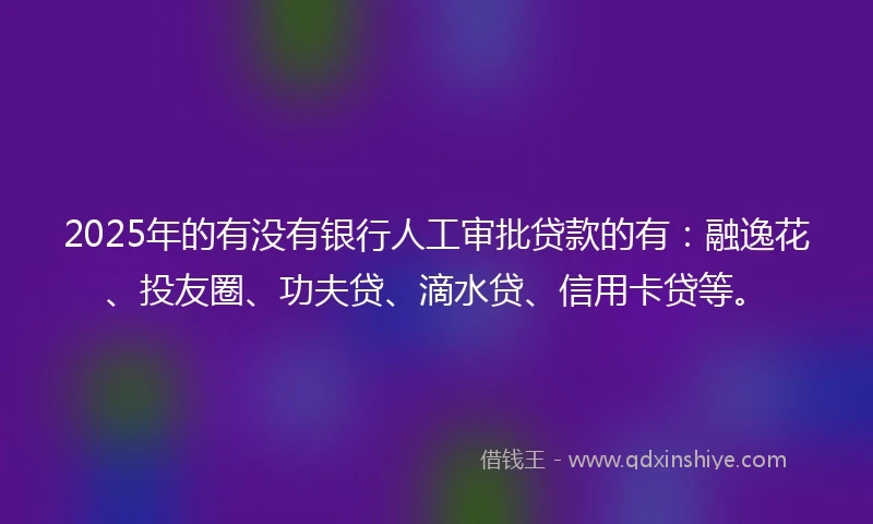 2025年的有没有银行人工审批贷款的有：融逸花、投友圈、功夫贷、滴水贷、信用卡贷等。