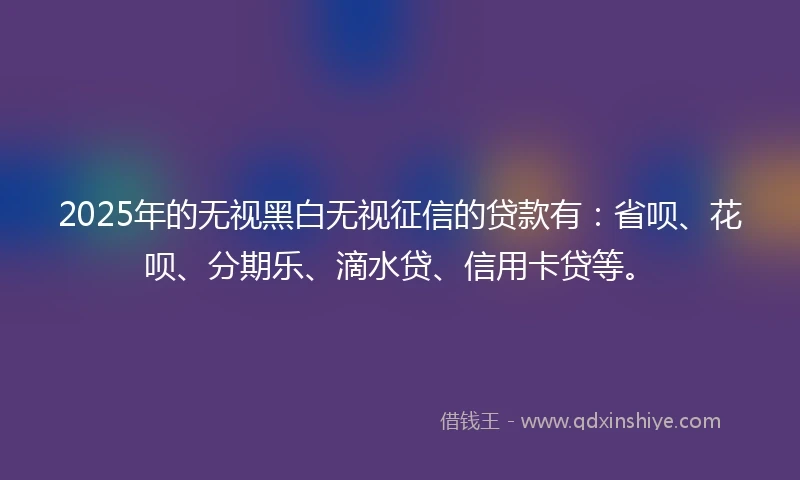 2025年的无视黑白无视征信的贷款有：省呗、花呗、分期乐、滴水贷、信用卡贷等。