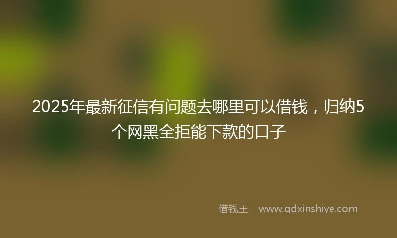2025年最新征信有问题去哪里可以借钱,归纳5个网黑全拒能下款的口子