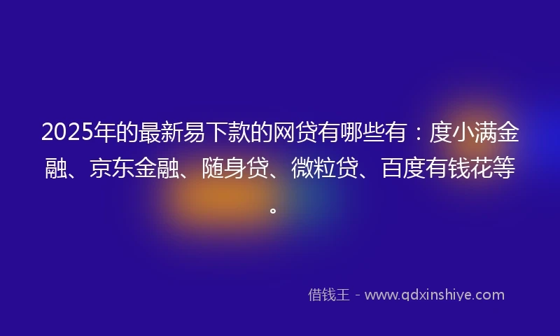 2025年的最新易下款的网贷有哪些有：度小满金融、京东金融、随身贷、微粒贷、百度有钱花等。