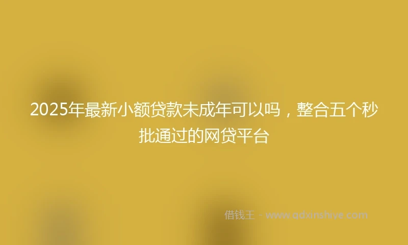 2025年最新小额贷款未成年可以吗，整合五个秒批通过的网贷平台