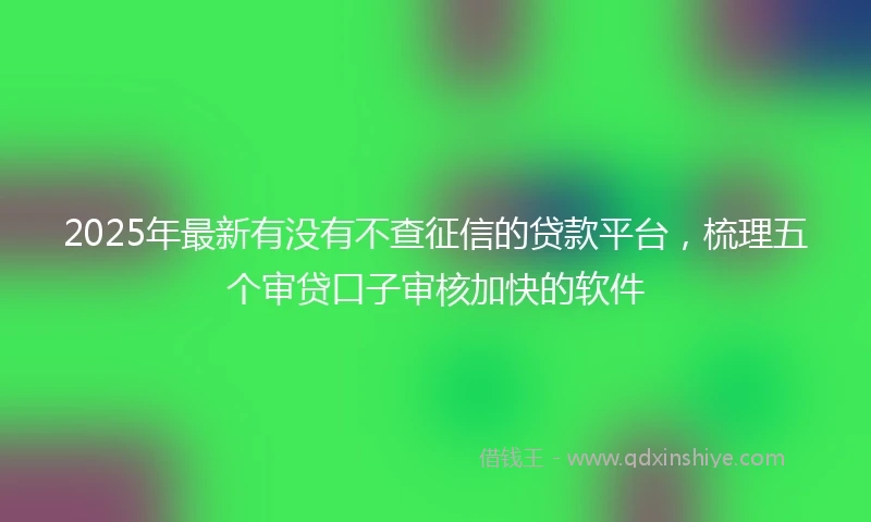 2025年最新有没有不查征信的贷款平台，梳理五个审贷口子审核加快的软件