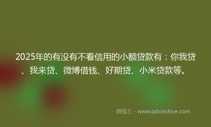 2025年的有没有不看信用的小额贷款有：你我贷、我来贷、微博借钱、好期贷、小米贷款等。