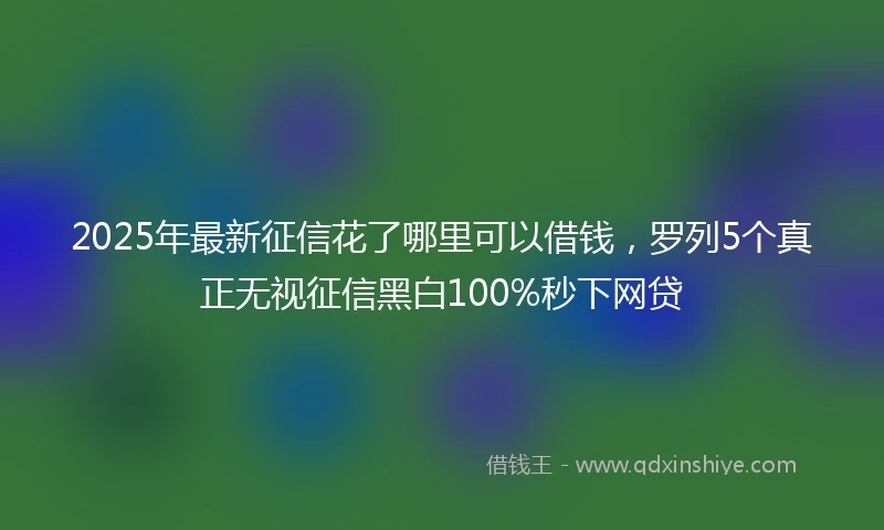2025年最新征信花了哪里可以借钱，罗列5个真正无视征信黑白100%秒下网贷