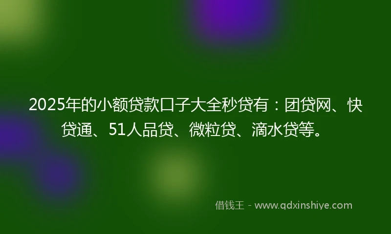 2025年的小额贷款口子大全秒贷有：团贷网、快贷通、51人品贷、微粒贷、滴水贷等。