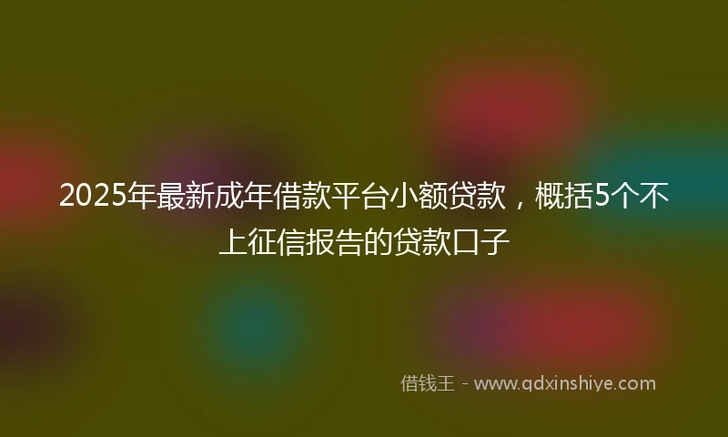 2025年最新成年借款平台小额贷款，概括5个不上征信报告的贷款口子