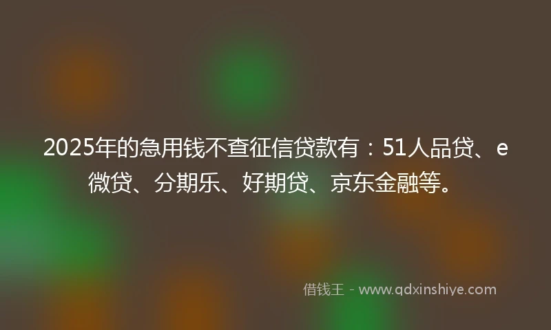 2025年的急用钱不查征信贷款有：51人品贷、e微贷、分期乐、好期贷、京东金融等。