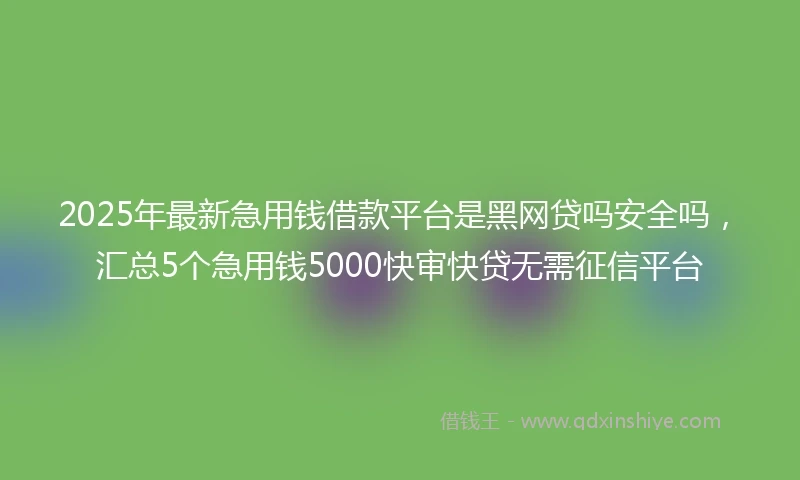 2025年最新急用钱借款平台是黑网贷吗安全吗，汇总5个急用钱5000快审快贷无需征信平台