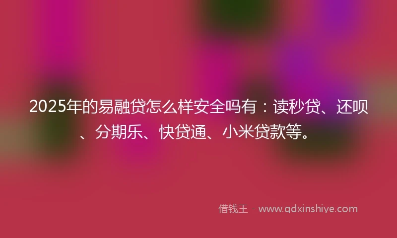 2025年的易融贷怎么样安全吗有：读秒贷、还呗、分期乐、快贷通、小米贷款等。