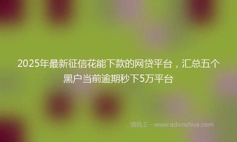 2025年最新征信花能下款的网贷平台，汇总五个黑户当前逾期秒下5万平台