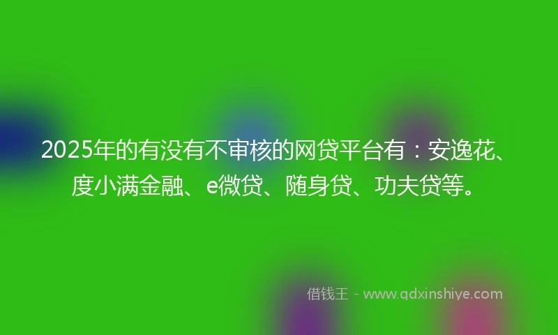 2025年的有没有不审核的网贷平台有：安逸花、度小满金融、e微贷、随身贷、功夫贷等。