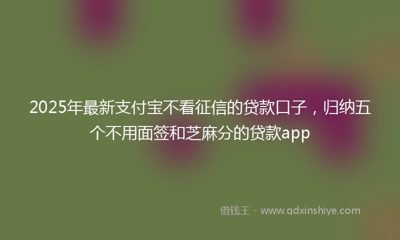 2025年最新支付宝不看征信的贷款口子，归纳五个不用面签和芝麻分的贷款app