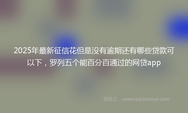 2025年最新征信花但是没有逾期还有哪些贷款可以下，罗列五个能百分百通过的网贷app