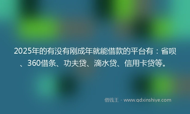 2025年的有没有刚成年就能借款的平台有：省呗、360借条、功夫贷、滴水贷、信用卡贷等。