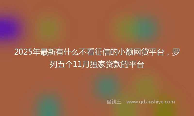 2025年最新有什么不看征信的小额网贷平台，罗列五个11月独家贷款的平台