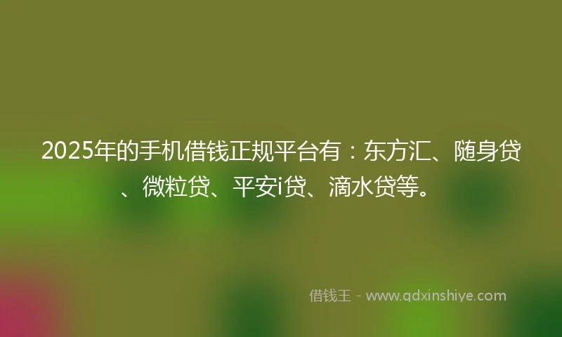 2025年的手机借钱正规平台有：东方汇、随身贷、微粒贷、平安i贷、滴水贷等。