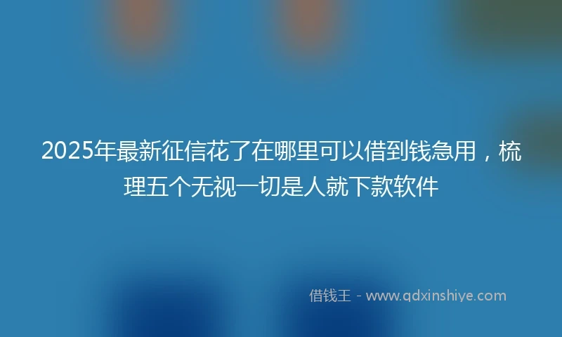 2025年最新征信花了在哪里可以借到钱急用，梳理五个无视一切是人就下款软件