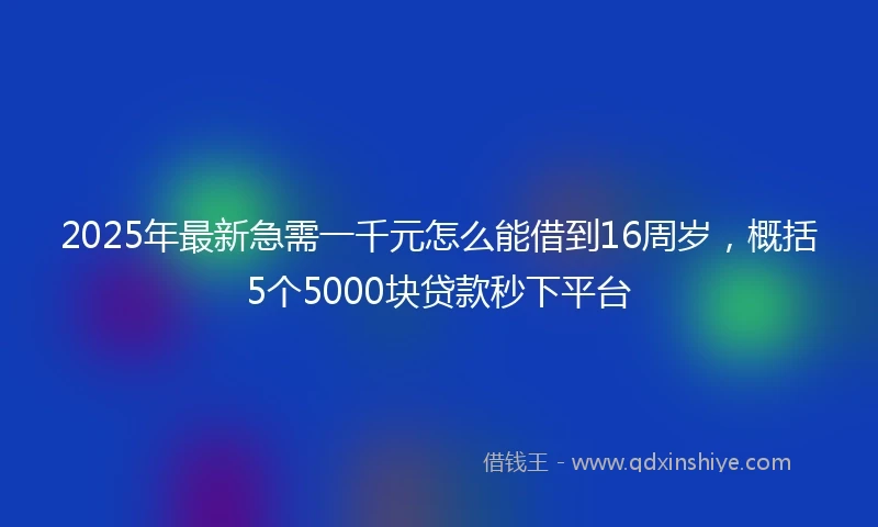 2025年最新急需一千元怎么能借到16周岁，概括5个5000块贷款秒下平台