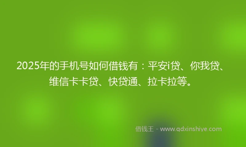 2025年的手机号如何借钱有：平安i贷、你我贷、维信卡卡贷、快贷通、拉卡拉等。