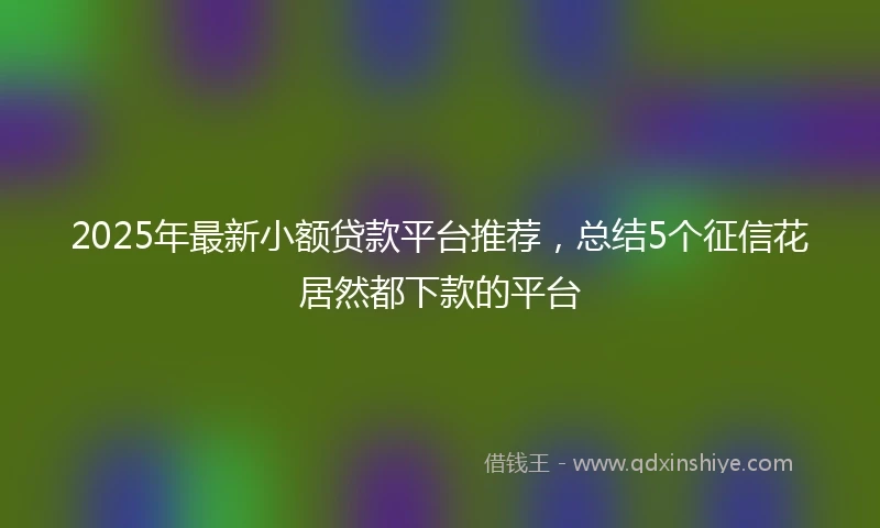 2025年最新小额贷款平台推荐，总结5个征信花居然都下款的平台