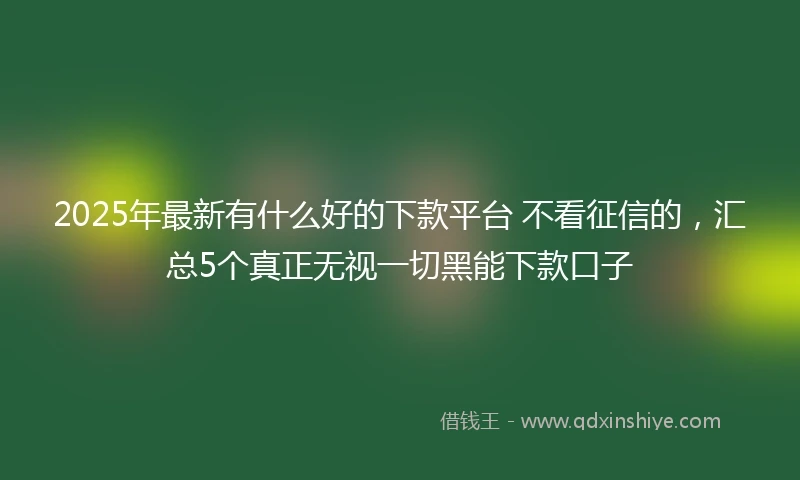 2025年最新有什么好的下款平台 不看征信的，汇总5个真正无视一切黑能下款口子